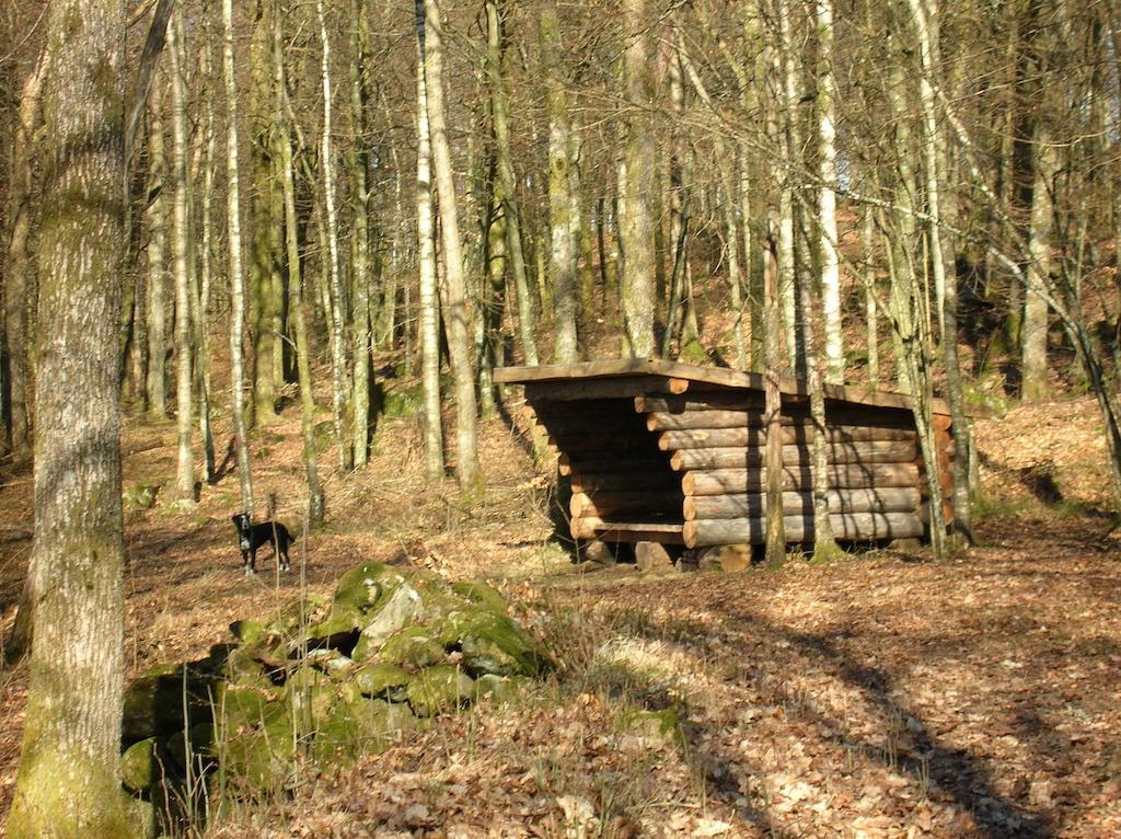 Wismens Natur & Fiske Krogsered Экстерьер фото