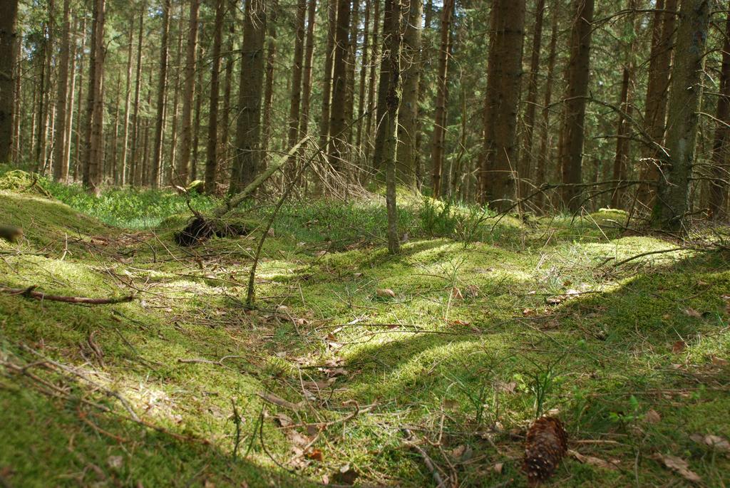 Wismens Natur & Fiske Krogsered Экстерьер фото